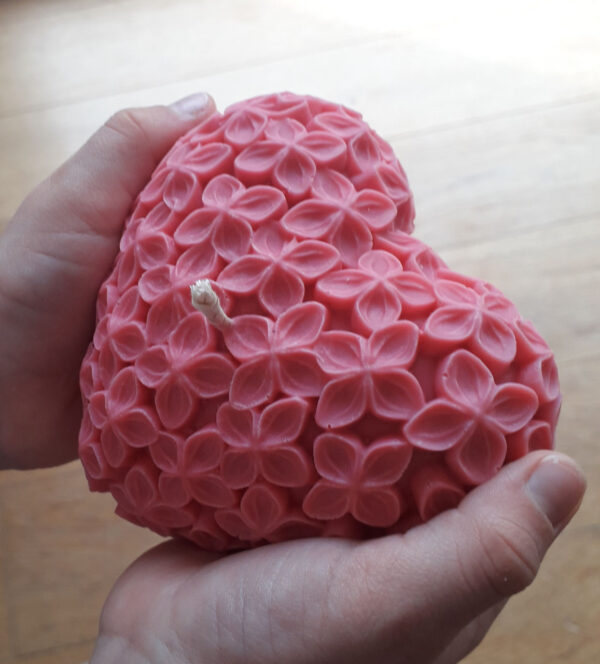 Cœur Hortensia