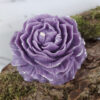 Fleur de camélia – Image 2