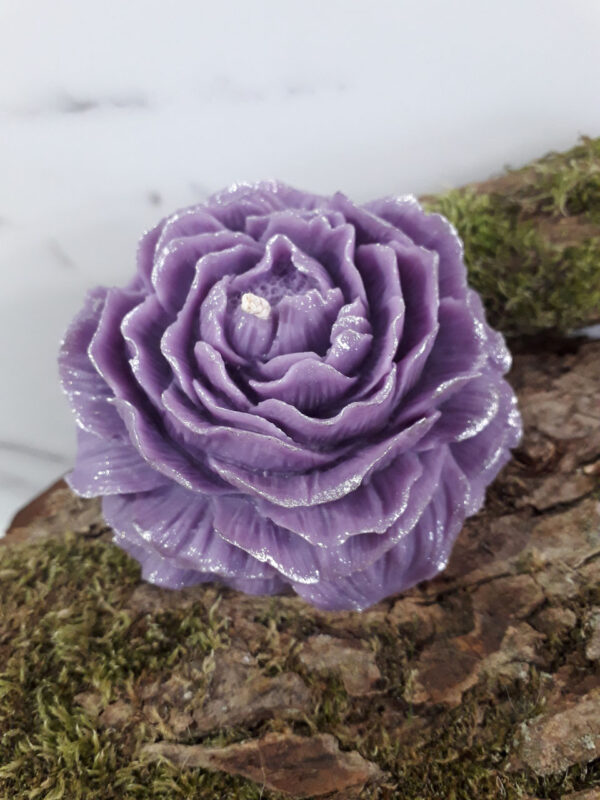 Fleur de camélia – Image 2