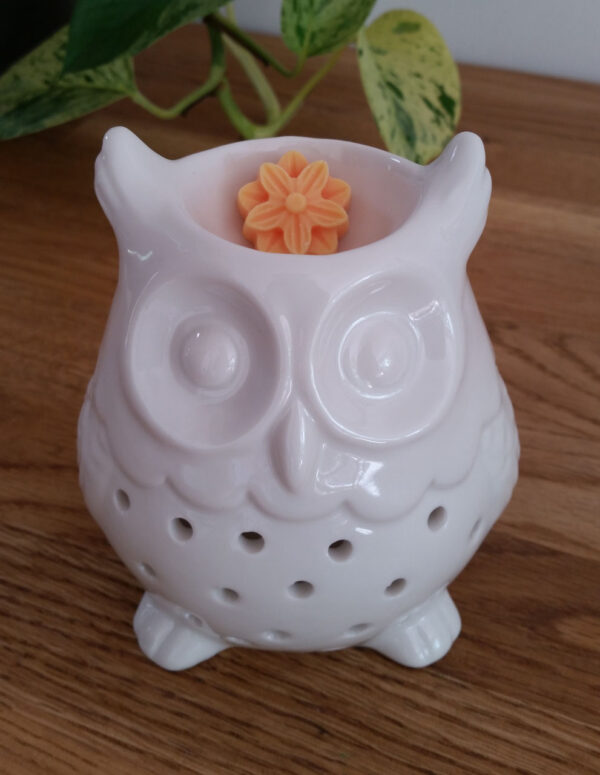 Hibou